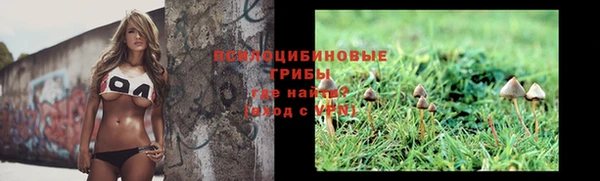 Альфа ПВП Ростов