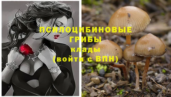 стафф Армянск