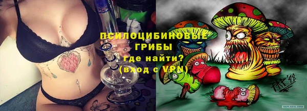 стафф Армянск