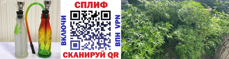 Конопля план  Корсаков 